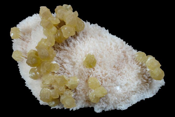 Yellow Calcite On Scolecite (Zeolite) Sprays - Maharashtra, India #168711